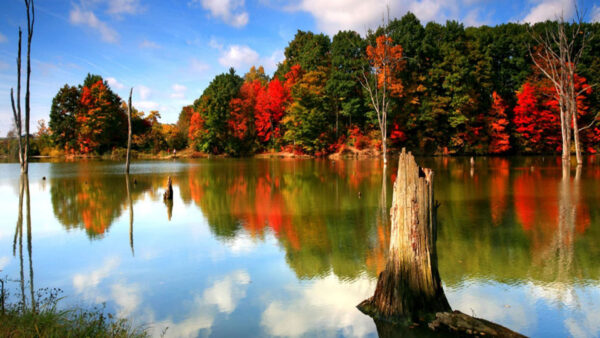 Wallpaper Trees, Red, Clouds, Blue, Desktop, Autumn, Green, Orange, Reflection, Water, Fall, Sky, White