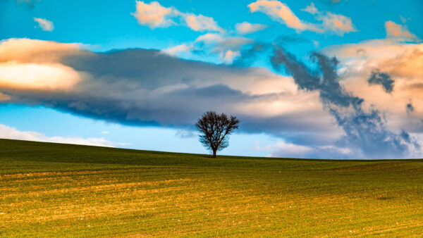 Wallpaper Green, Field, Blue, Grass, White, Slope, Tree, Mountain, Clouds, Sky, Nature, Under