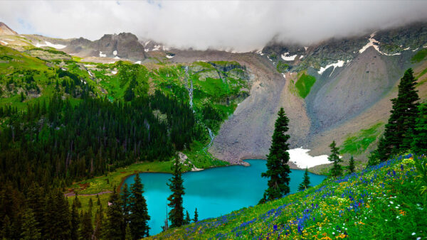 Wallpaper Rocks, Beautiful, Aerial, Nature, Green, View, Trees, Colorful, Forest, Slope, Flowers, Lake