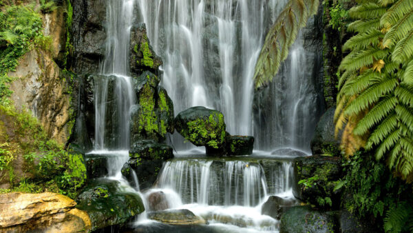 Wallpaper Nature, Covered, Waterfalls, Rocks, Trees, Green, Stones, Algae