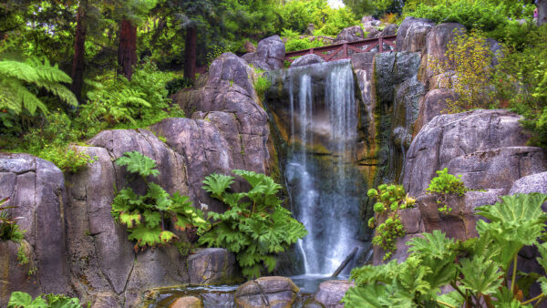 Wallpaper Green, Plants, Trees, Rocks, Nature, Waterfalls, Bushes