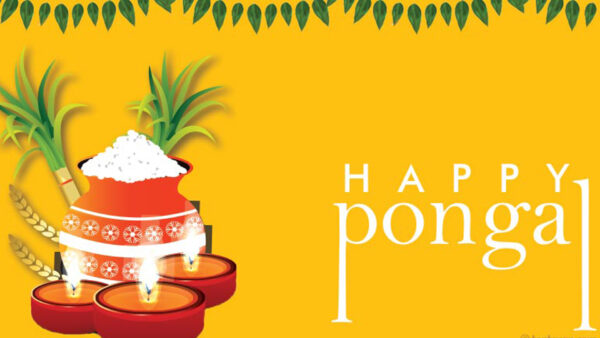 Wallpaper Clay, Happy, Background, Yellow, Sugarcanes, Pongal, Pot, Candles