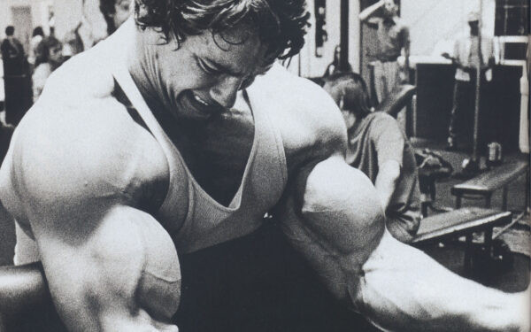 Wallpaper Arnold, Bodybuilder, Schwarzenegger