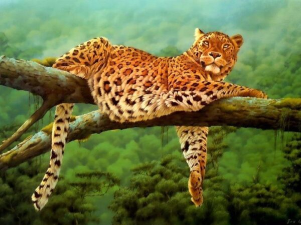 Wallpaper Leoparden, Leopard