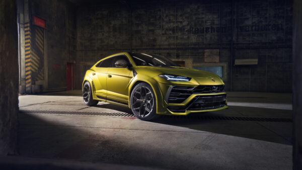 Wallpaper Urus, Novitec, Lamborghini, Esteso, 2019