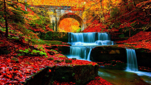Wallpaper Colorful, Between, Rock, With, Trees, Leaves, Nature, Waterfall, Bridge, And, Covered, Forest, Desktop, Stream, Red