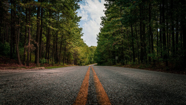 Wallpaper Between, Mobile, Green, Road, Trees, Forest, Nature, Desktop, Foliage