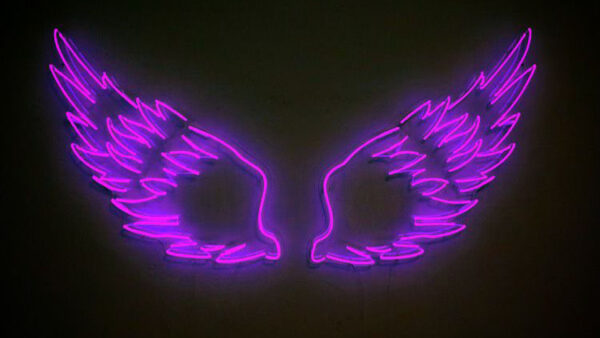 Wallpaper Neon, Black, Background, Lights, Aesthetic, Wings, Purple