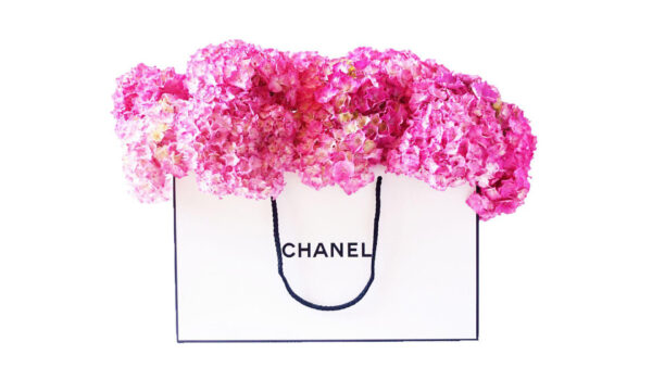 Wallpaper Flowers, Desktop, Chanel, Background, White, With