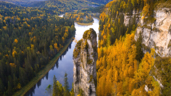 Wallpaper Nature, River, Trees, Russia, Covered, Areial, Desktop, Yellow, View, Forest, Between