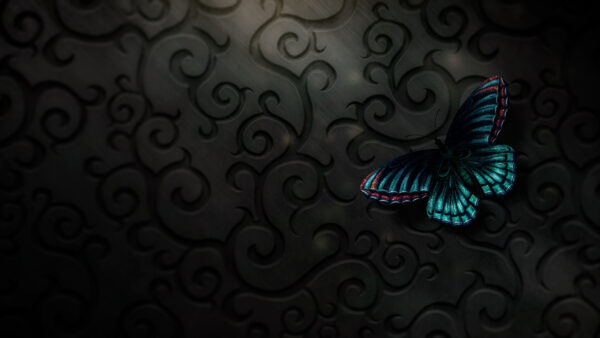 Wallpaper Desktop, Digital, Abstract, Art, Butterfly, Black, Texture