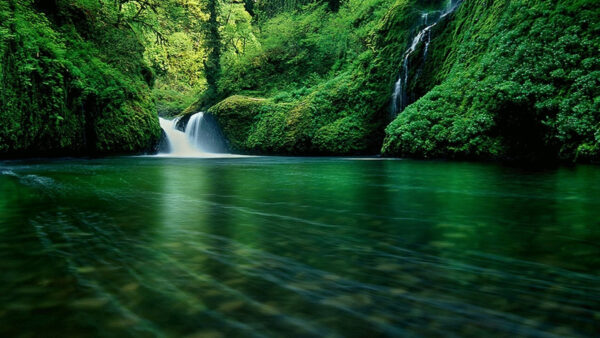 Wallpaper Waterfalls, Trees, Plants, Nature, Pouring, Green, Between, River, Bushes