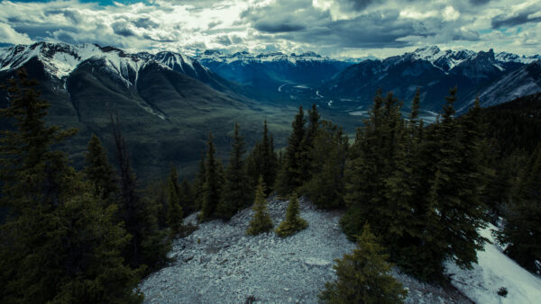 Wallpaper Capped, Desktop, White, Blue, Clouds, Mountains, Green, Mobile, Snow, Beautiful, Scenery, Under, Trees, Sky, Nature