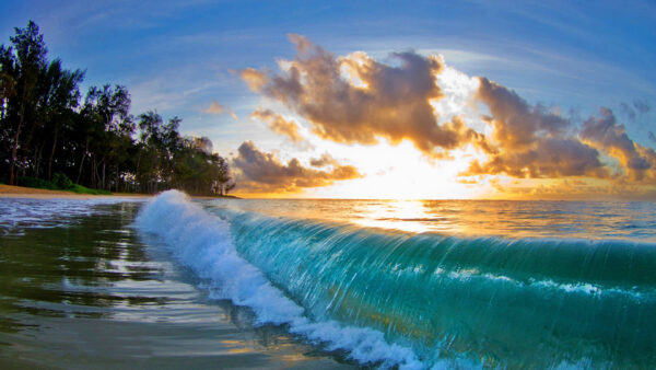 Wallpaper Trees, Background, Blue, Closeup, White, Waves, Clouds, Ocean, View, Sand, Black, Beach, Sky, Green