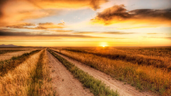 Wallpaper Green, Sky, Country, Yellow, Above, Sunrise, Black, Clouds, Dry, Field, Grass, During