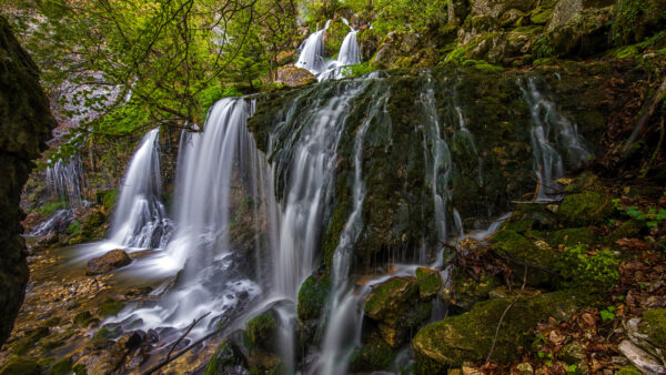 Wallpaper From, Green, Algae, Background, Trees, Waterfalls, Covered, Multiple, Forest, Rocks, Nature