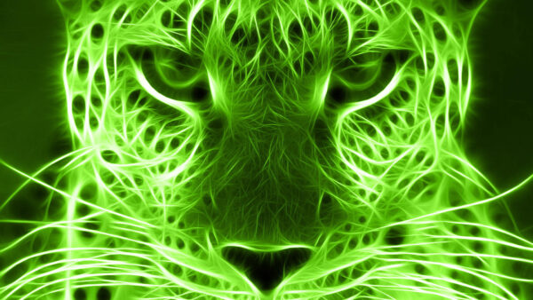 Wallpaper Tiger, Face, Art, Green