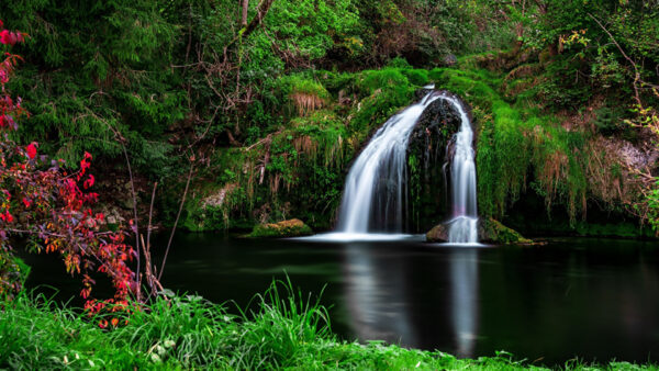 Wallpaper Landscape, Waterfall, Grass, Algae, Pouring, From, Covered, Nature, View, Scenery, Rocks, River, Shrubs