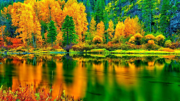 Wallpaper Trees, River, Mountain, Yellow, Leaves, Autumn, Reflection, Background, Green