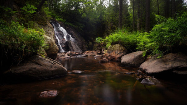 Wallpaper Rocks, Water, Waterfall, Nature, Stones, Green, Plants, Trees, Forest, Background, Between