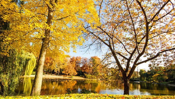 Wallpaper Sky, Trees, Beautiful, Green, Leaves, Autumn, Under, Reflection, Blue, River, Orange, Yellow