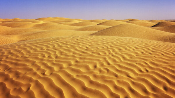 Wallpaper Dune, Nature, Sahara, Sand, Tunisia