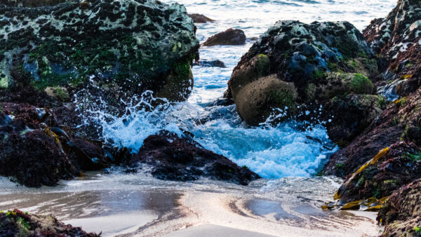 Wallpaper Ocean, Algae, Stones, Water, Covered, Nature, Splashes, Background, Rocks