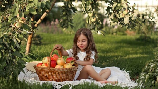 Wallpaper White, With, Little, Dress, Apple, Cute, Basket, Sitting, Girl, Smiling, Cloth, Wearing, Wicker