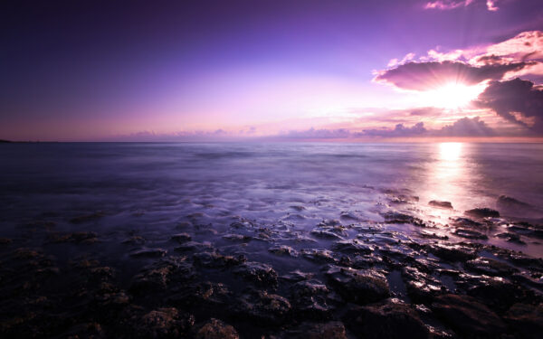 Wallpaper Purple, Seascape