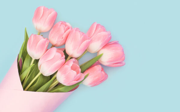 Wallpaper Tulips, Pink, Baby