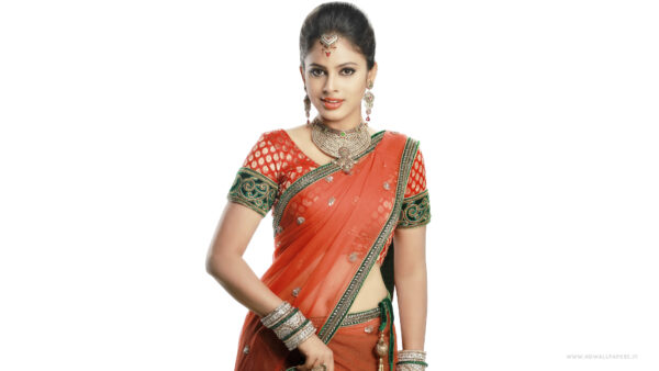 Wallpaper Nandita, Swetha, Actress, Saree