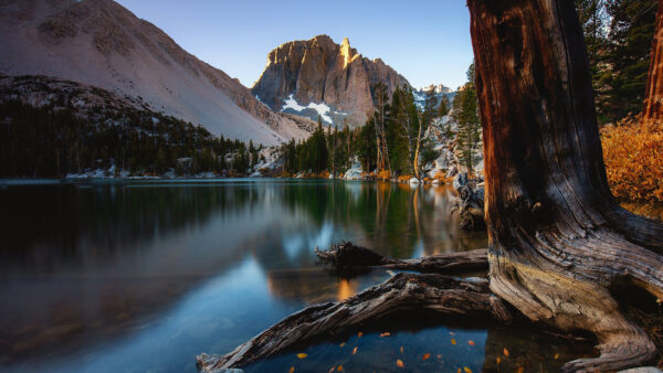 Wallpaper California, Nevada, Mountain, Sierra, Fall, Lake, During, With, Nature, Tree, Desktop, And