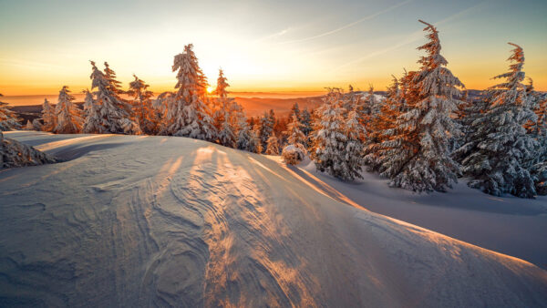 Wallpaper During, Covered, Under, Hills, Winter, Snow, Trees, And, Sky, Sunrise