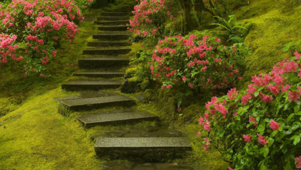Wallpaper Garden, Stairs, Desktop, Flowers, Beautiful, Moss, With, And