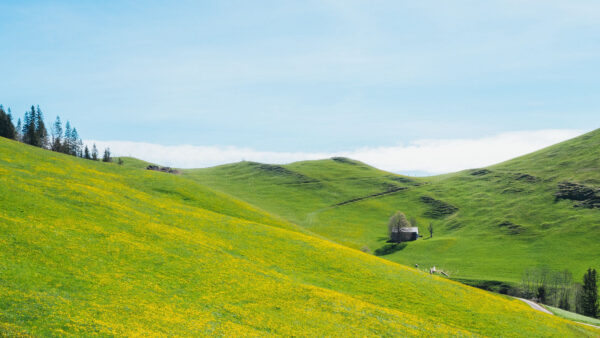 Wallpaper Yellow, Slope, Blue, House, Mountains, Under, Mobile, Flowers, Lawn, Sky, Desktop, Nature