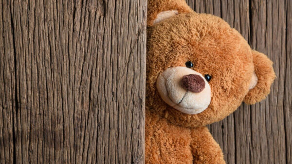 Wallpaper Bear, Wood, Background, WALL, Teddy, Brown