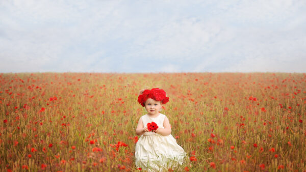 Wallpaper Field, Wearing, Flowers, Little, Dress, Mobile, Girl, Desktop, Baby, White, Red, Cute, Poppy, Common, And, Wreath, Standing