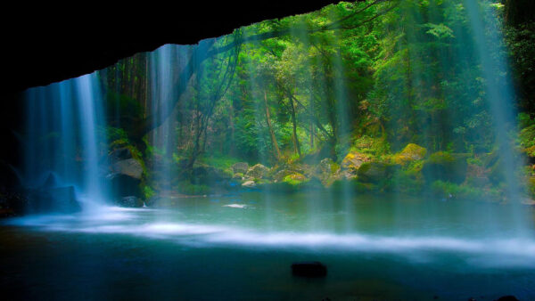 Wallpaper Waterfalls, Forest, Trees, Pouring, Surrounded, Nature, River, Beautiful, Green