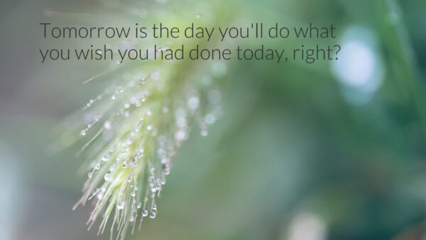 Wallpaper The, You, Day, Wish, What, Will, Desktop, Tomorrow, Inspirational