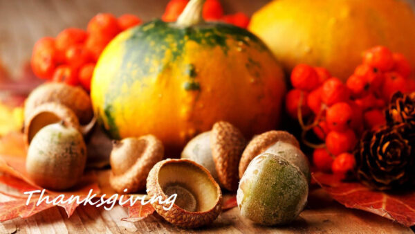 Wallpaper Yellow, Cherry, Thanksgiving, Pumpkin, Desktop, With