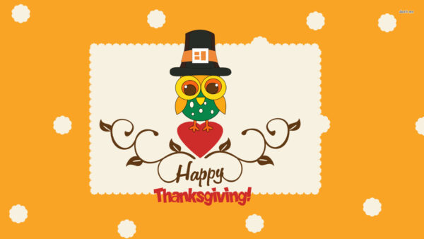 Wallpaper Hat, Desktop, Owl, Colourful, Bird, Black, Thanksgiving, With