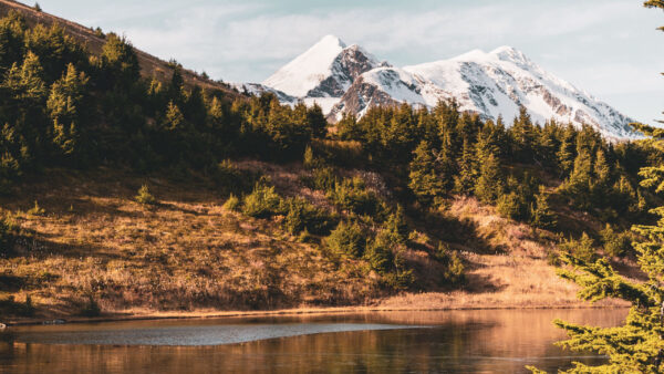 Wallpaper Landscape, River, Between, Slope, Mountains, And, Nature, Covered, Trees, With, Snow, View