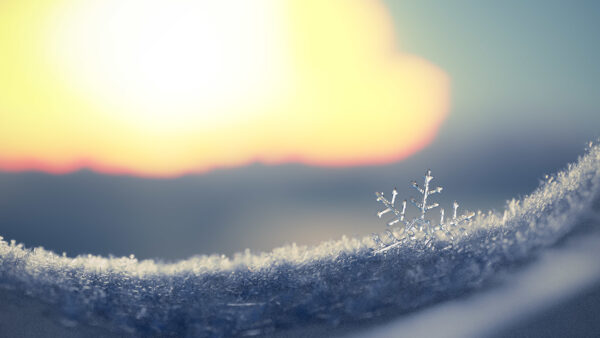 Wallpaper Frozen, Artistic, Desktop, Snowflake, Macro