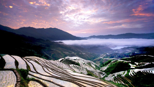 Wallpaper Nature, With, Mountains, Beautiful, Desktop, Fog, Rice, Background, Terrace, Mobile