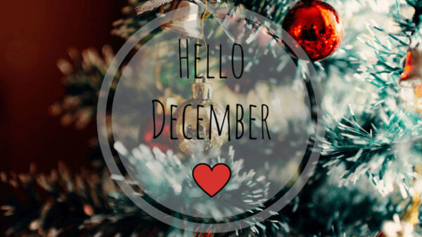 Wallpaper Hello, Decorated, Tree, Background, Letters, Christmas, December
