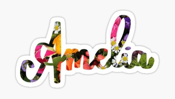 Wallpaper White, Amelia, Colorful, Flowers, Word, Background