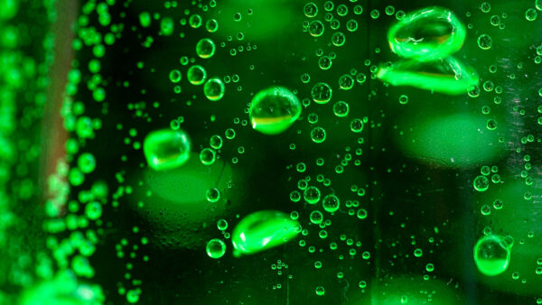 Wallpaper Elemental, Bubble, Green, Minimalism