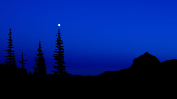 Wallpaper Blue, Silhouette, Dark, Trees, Desktop, Sky, Mobile, Background, Mountain