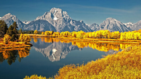 Wallpaper Color, Desktop, River, Reflection, Leafed, Trees, With, During, Mountain, Yellow, Daytime, Nature, Surrounded, Ash