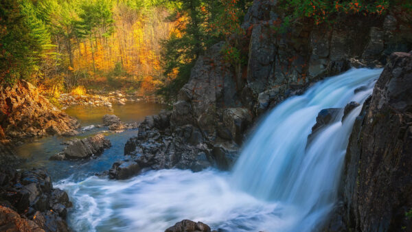 Wallpaper Around, Park, Nature, Desktop, Waterfall, Adirondack, Trees, USA